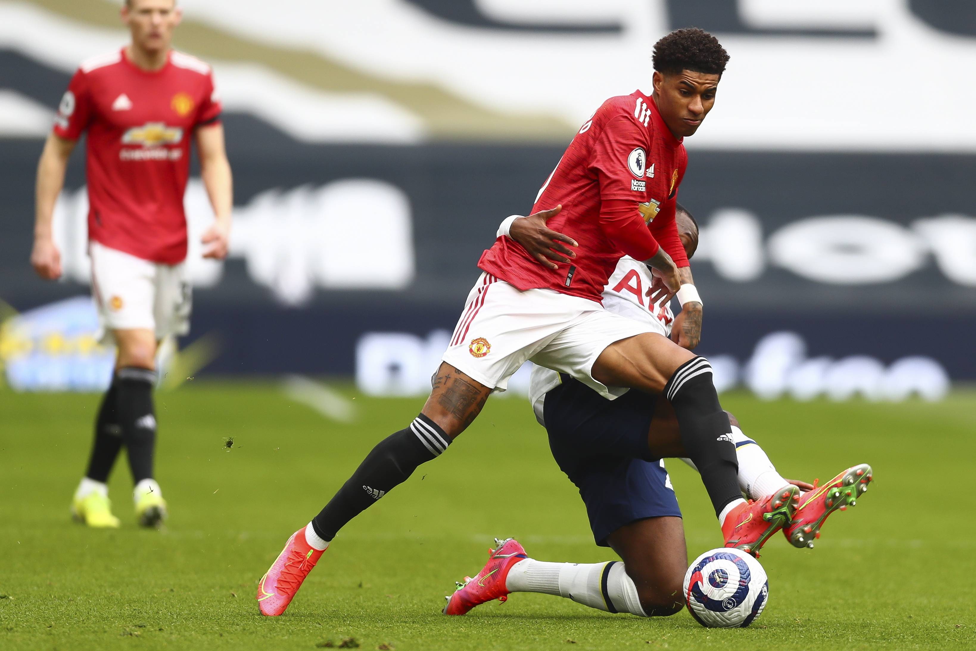 烈的情感共 烈的情感共